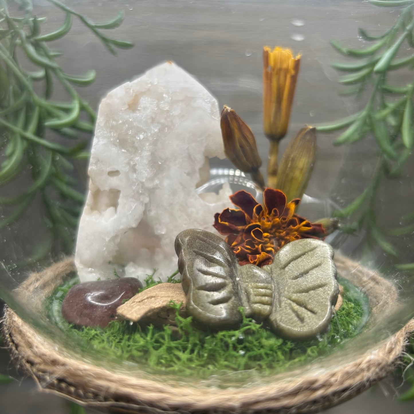 druzy agate terrarium