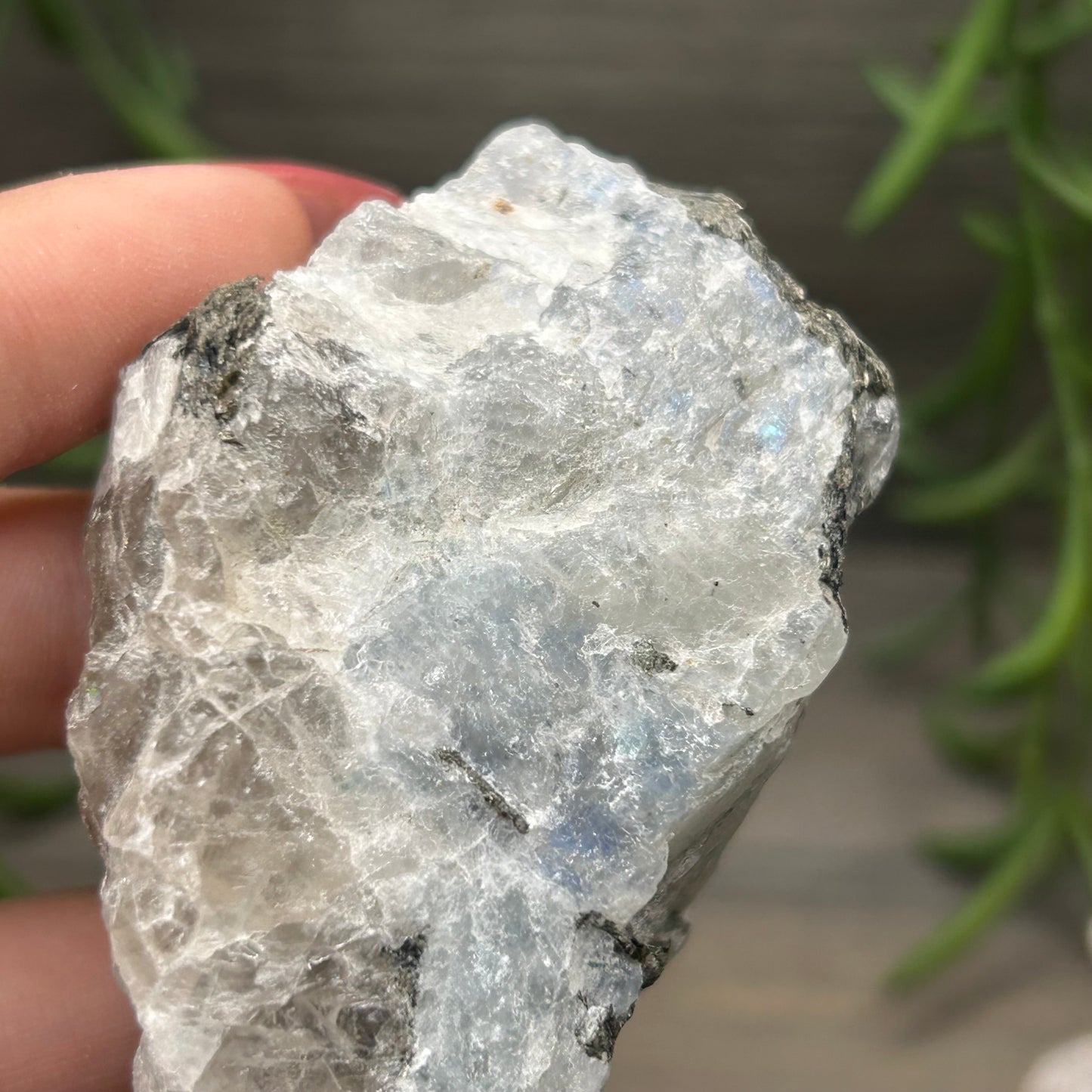 raw rainbow moonstone