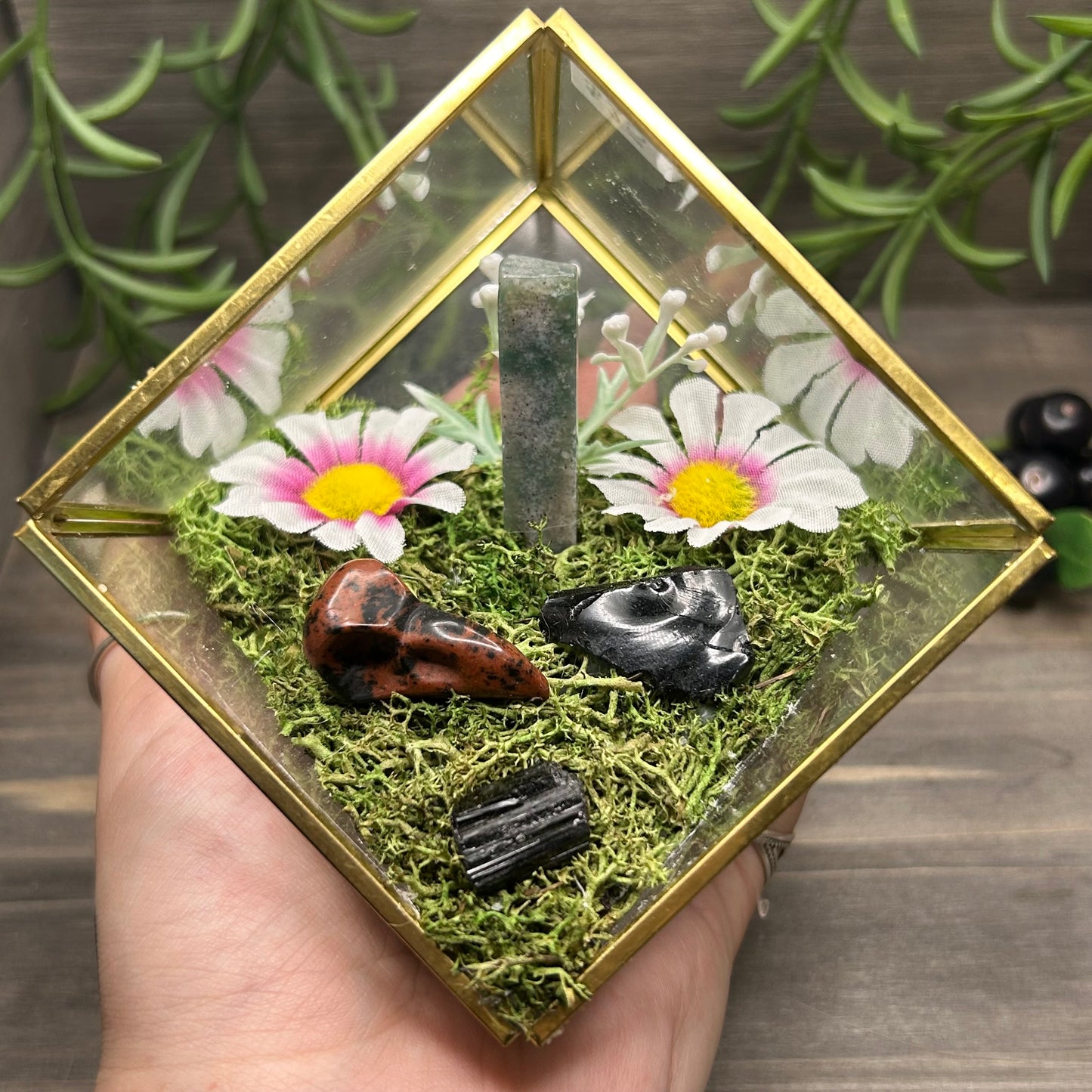 bird skull cube terrarium