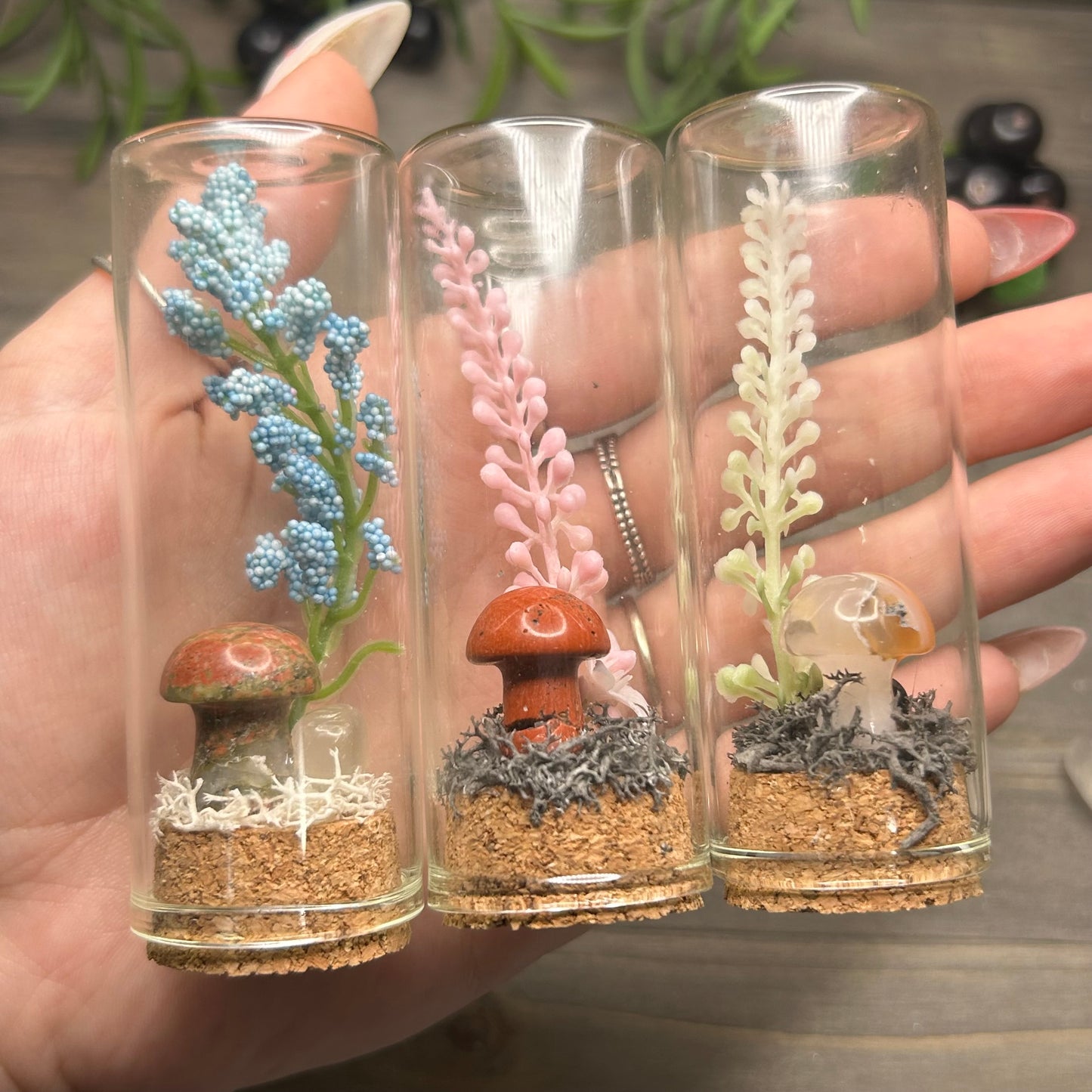 crystal mushroom terrarium