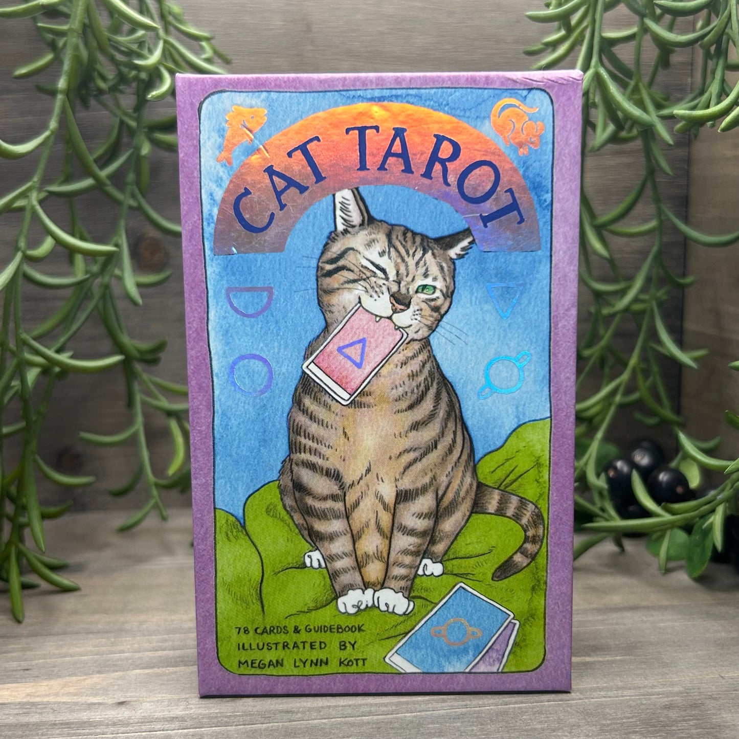 cat tarot deck