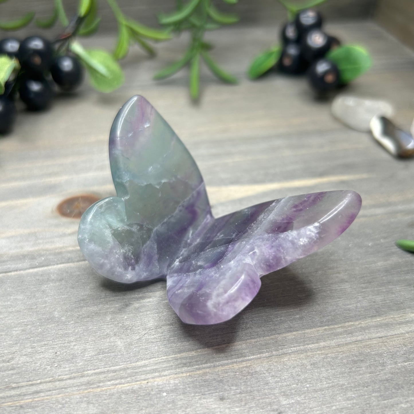 fluorite butterfly