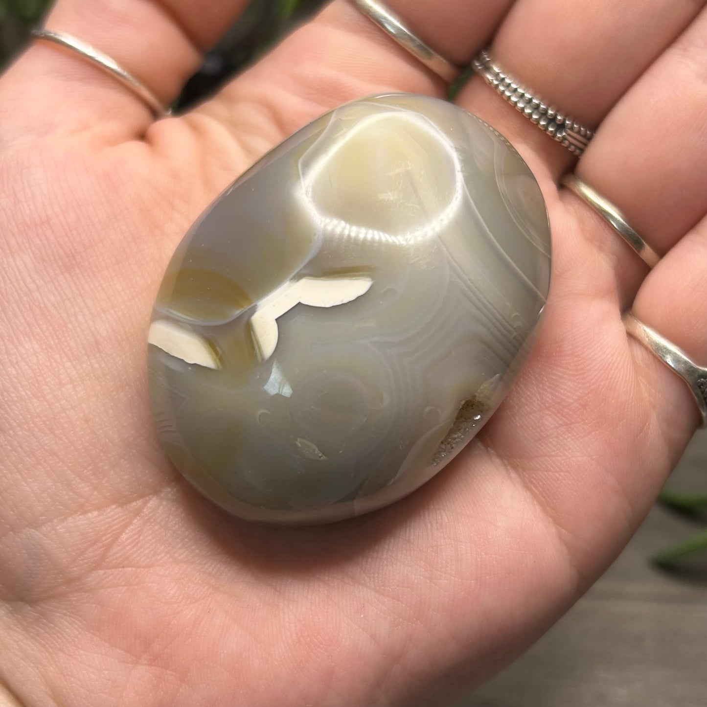 orca agate palm stone