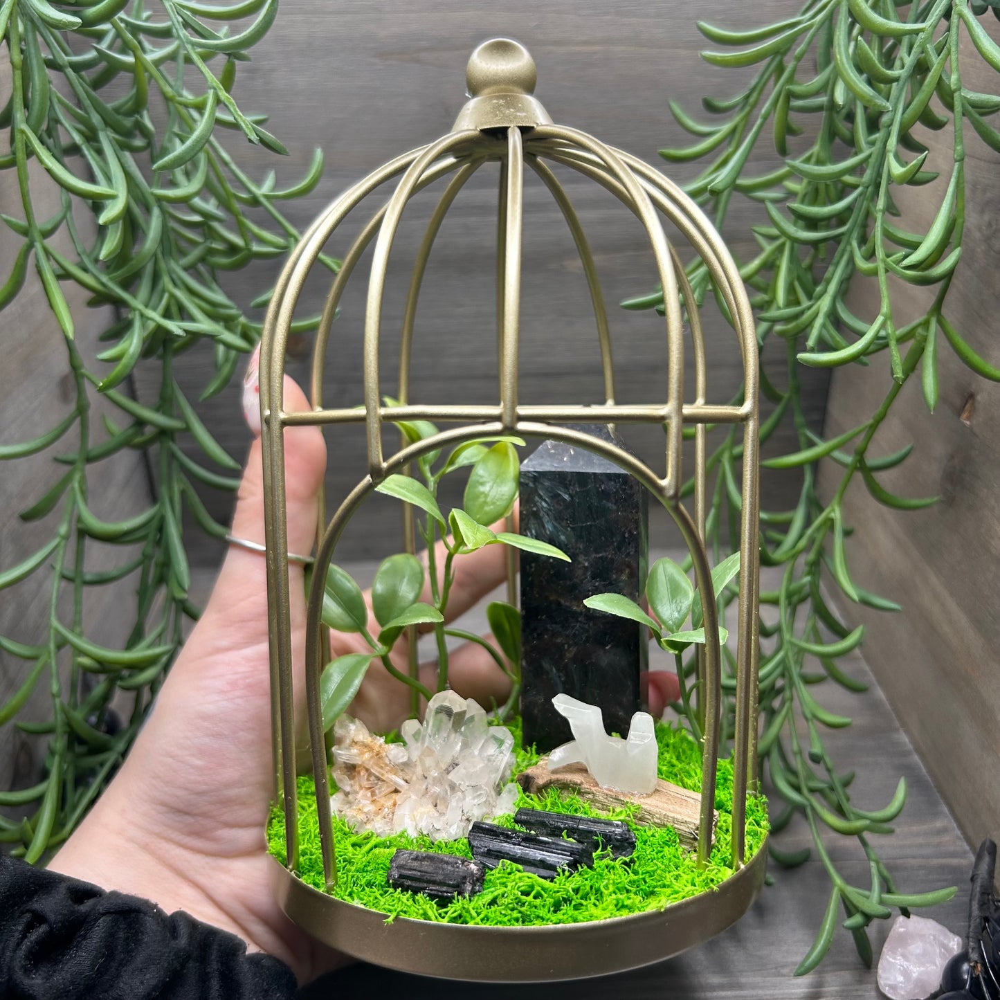birdcage terrarium