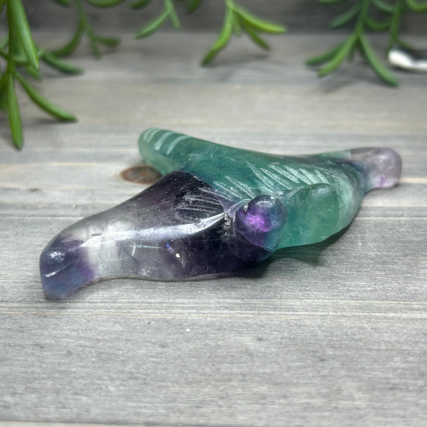 fluorite manta ray