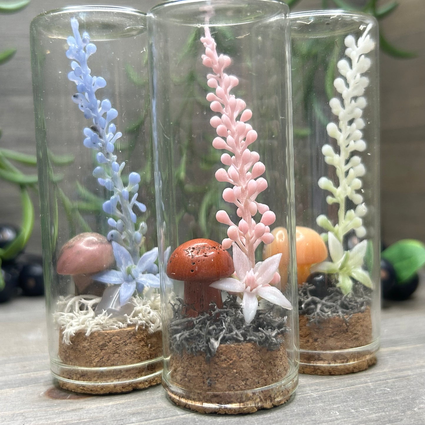 crystal mushroom terrarium