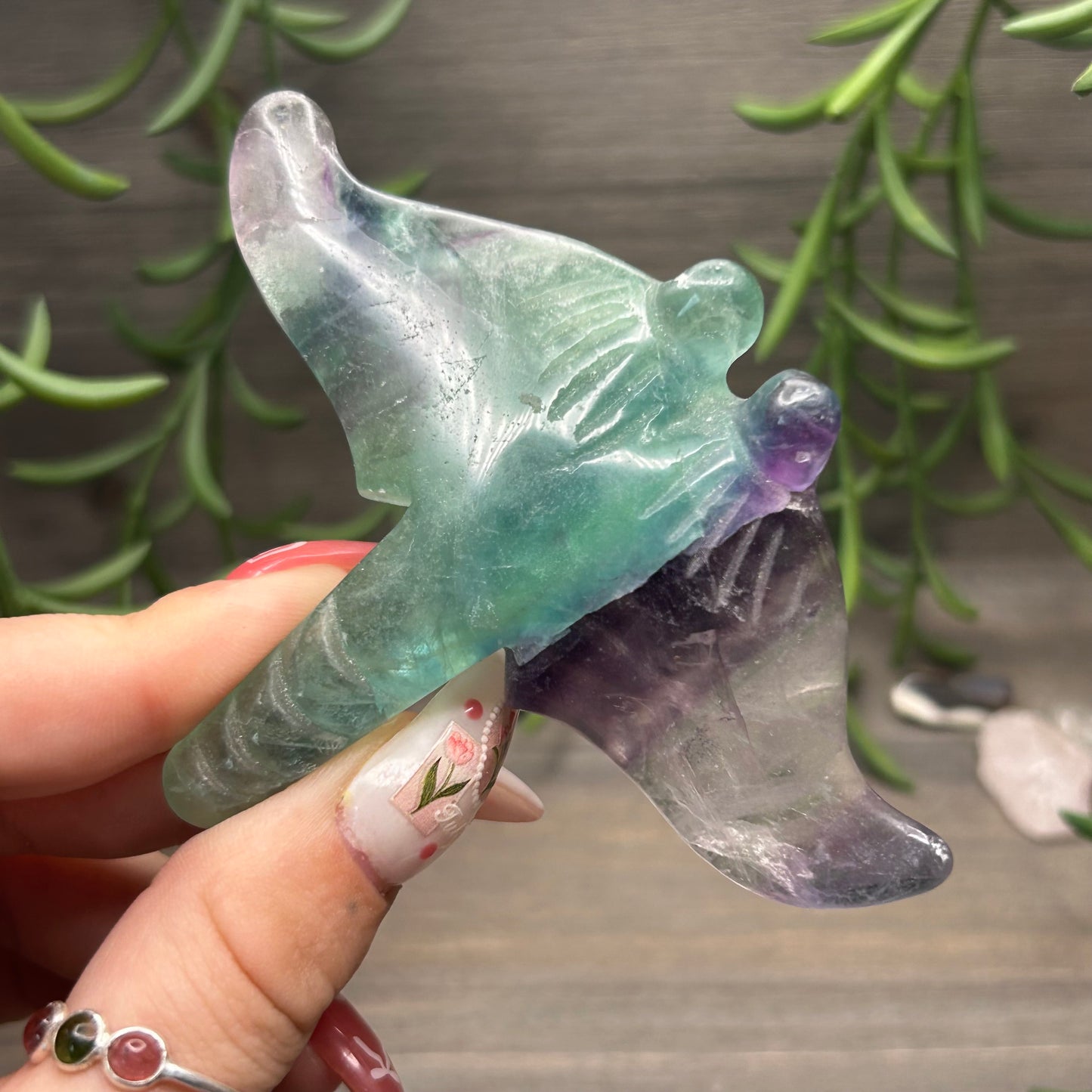 fluorite manta ray