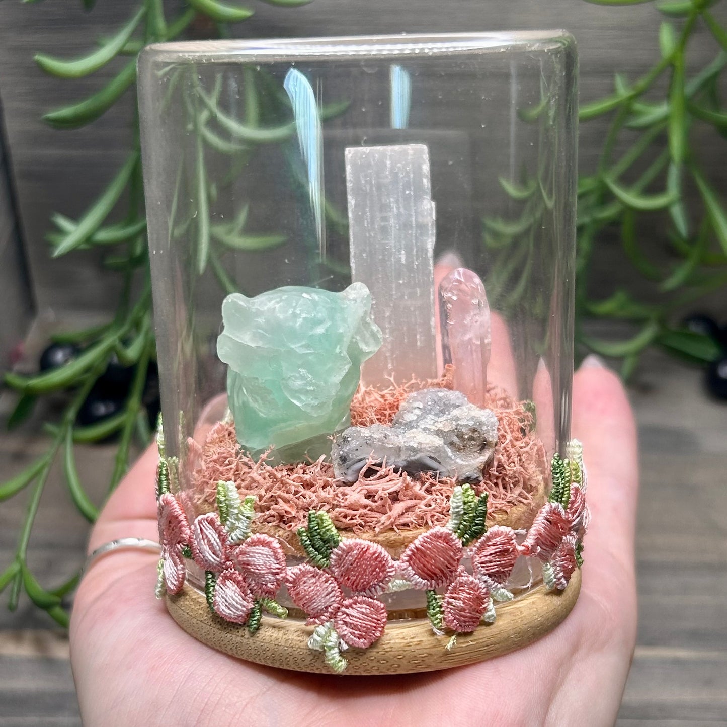 fluorite cow terrarium