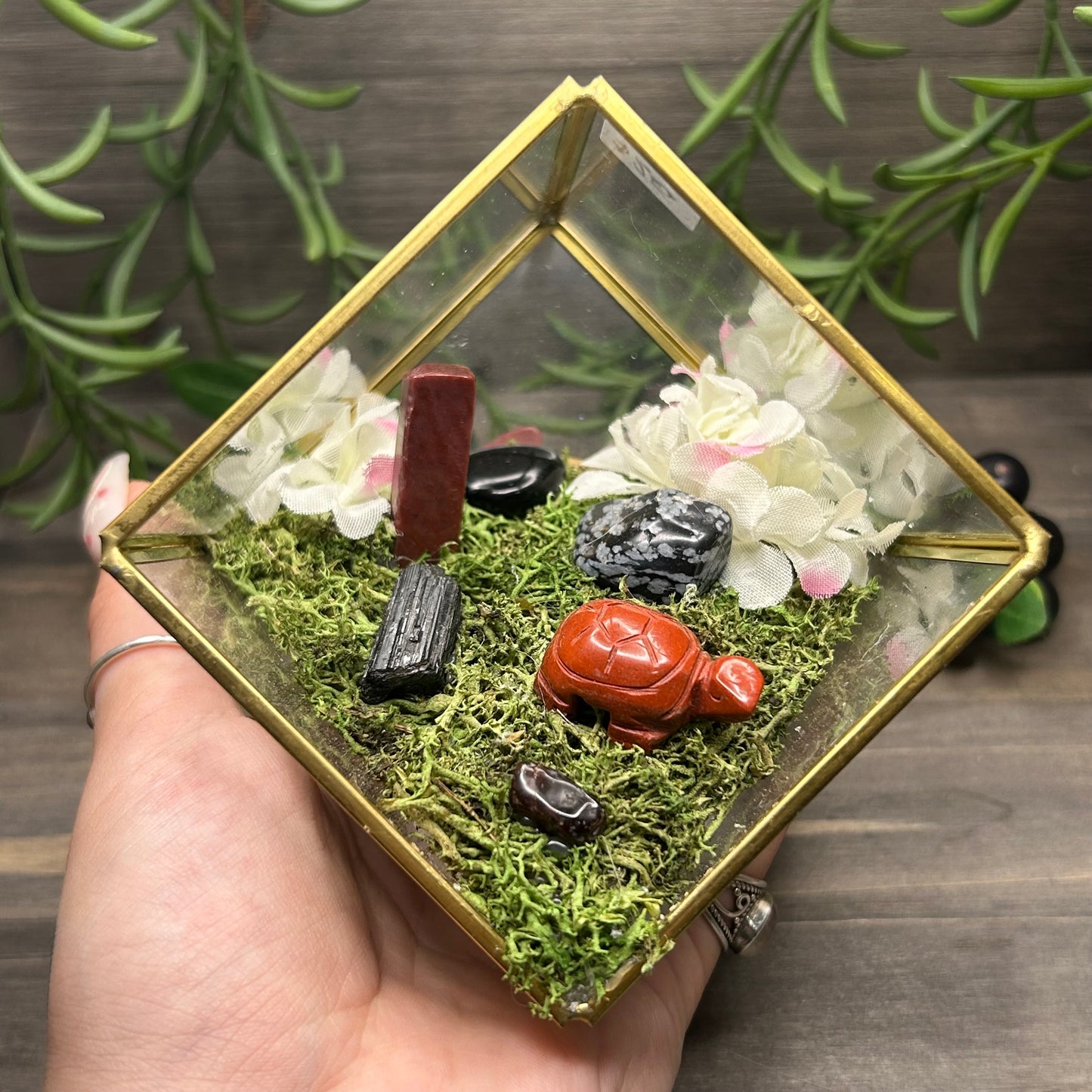 turtle cube terrarium