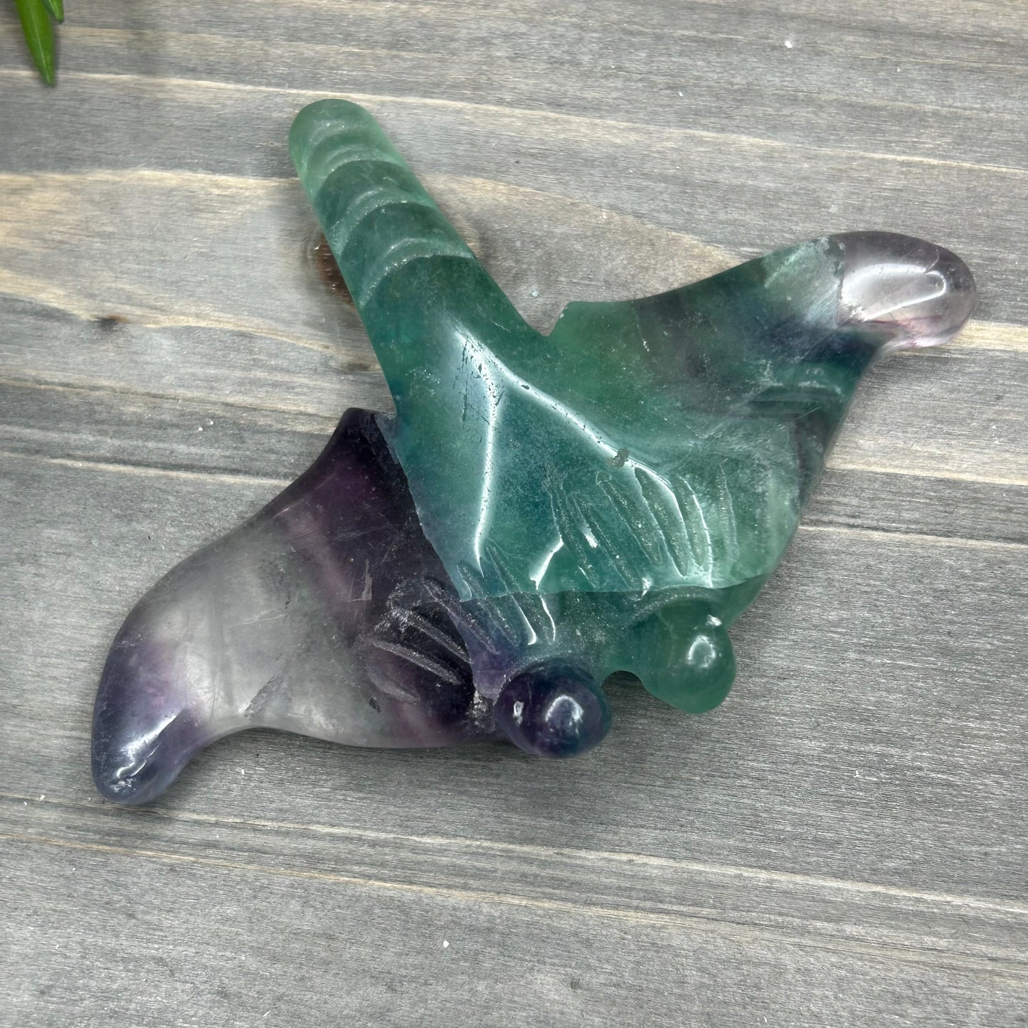 fluorite manta ray