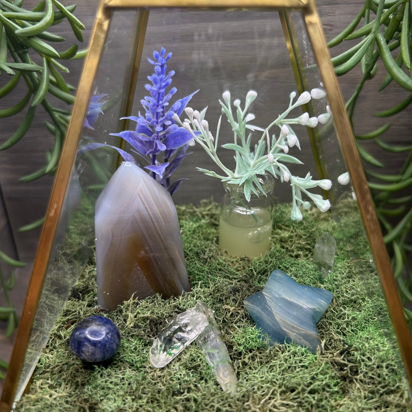 agate+blue onyx terrarium