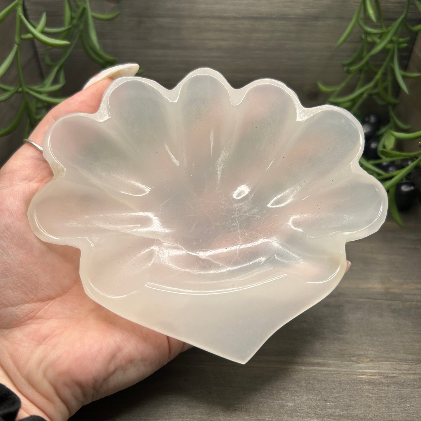 alabaster shell bowl