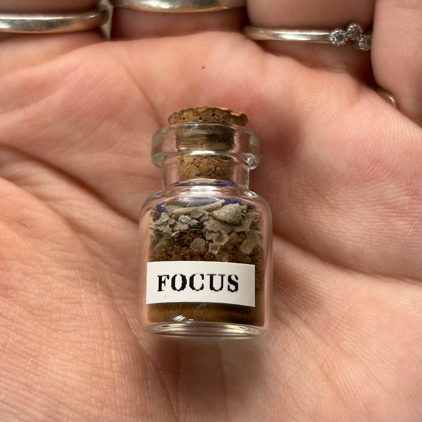 xs focus spell