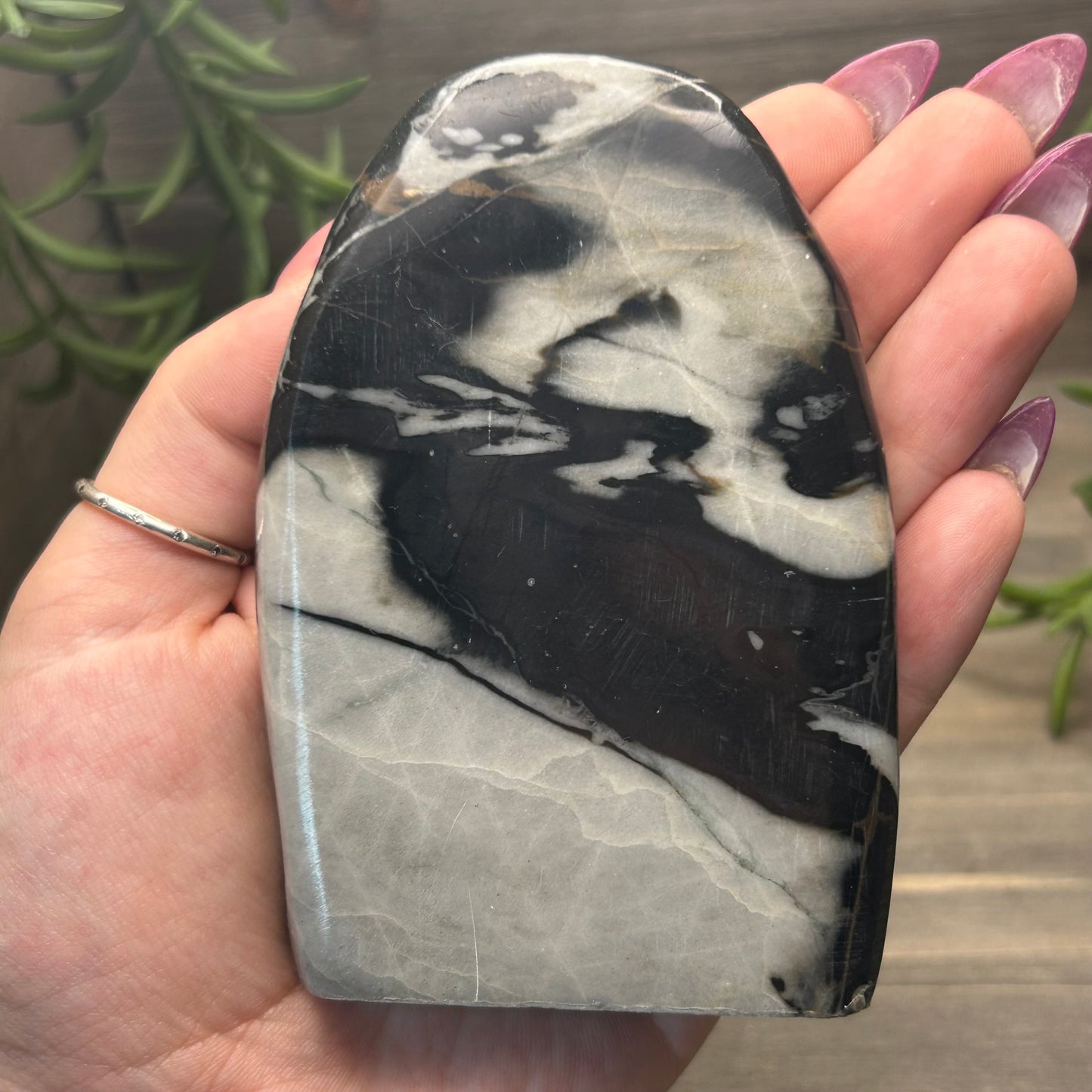picasso jasper freeform