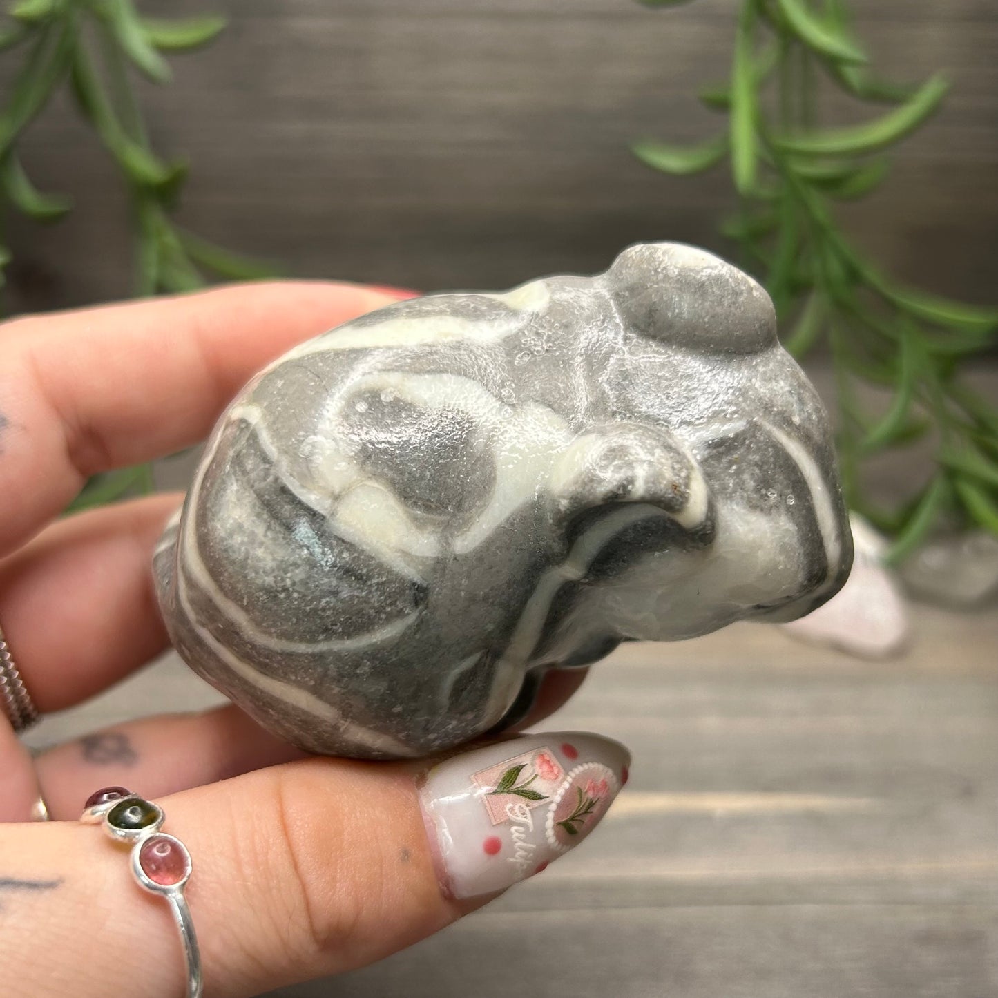 thousand eye jasper mouse