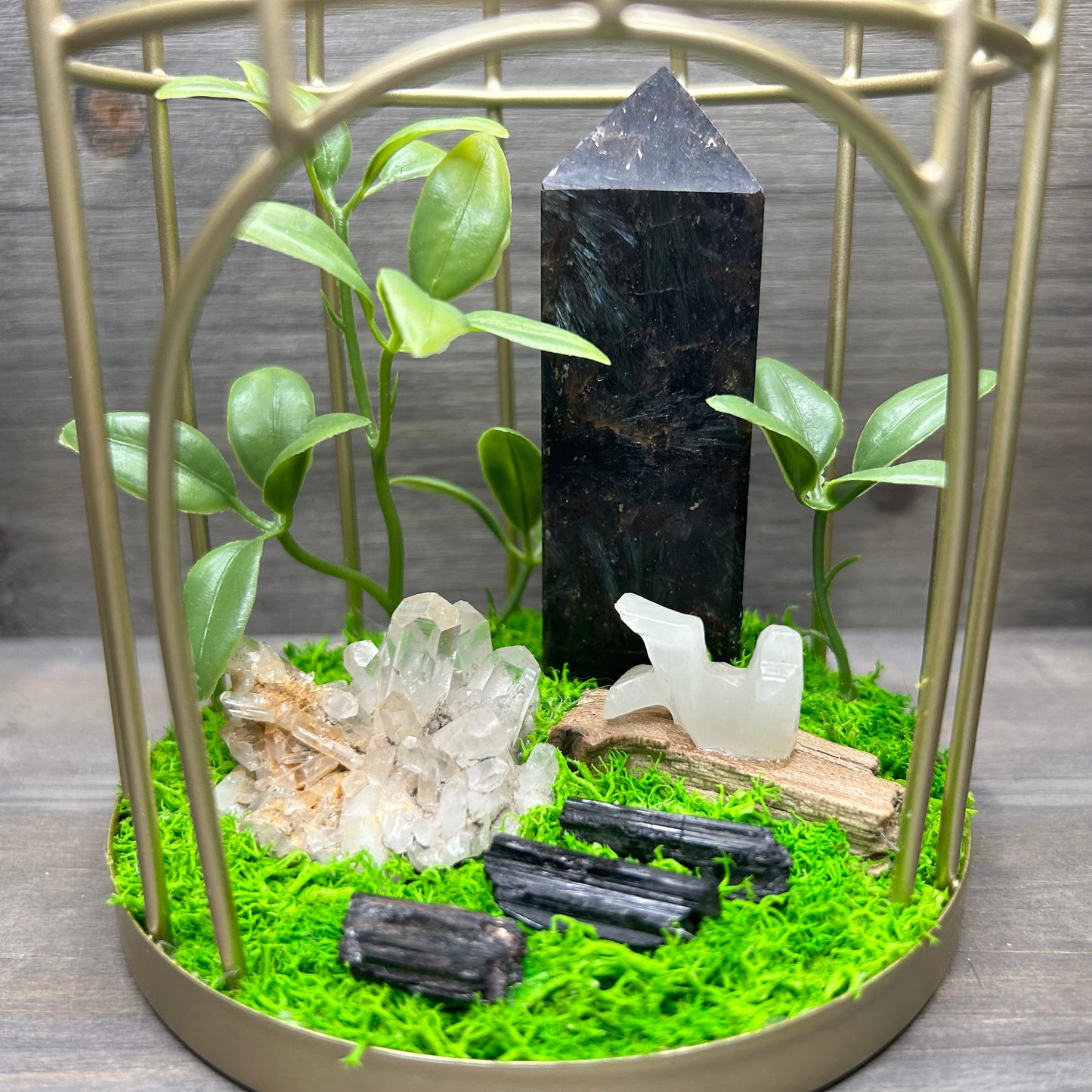 birdcage terrarium