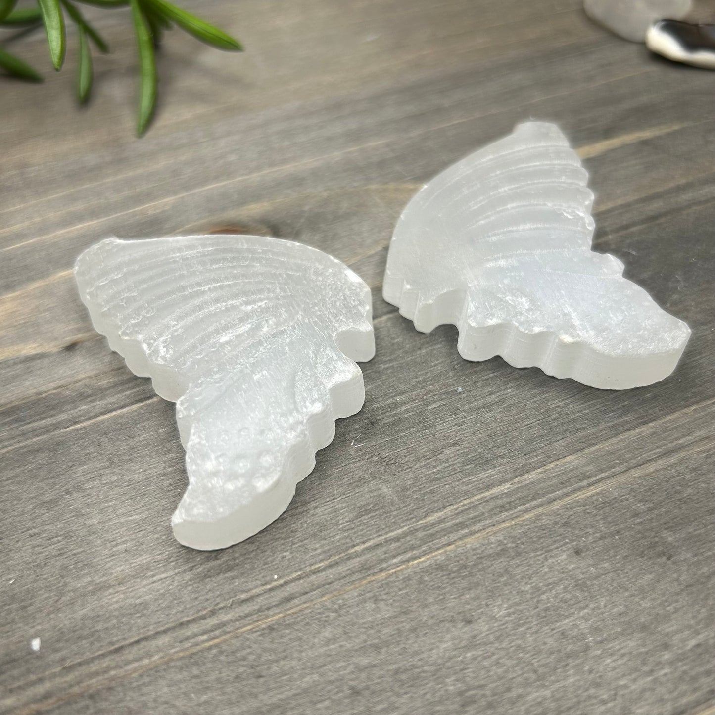 selenite wings