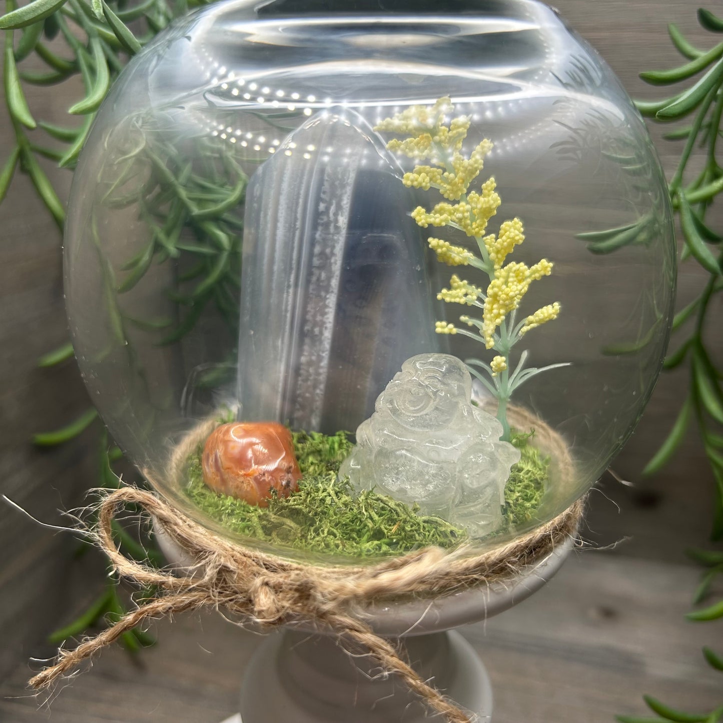 agate+buddha terrarium