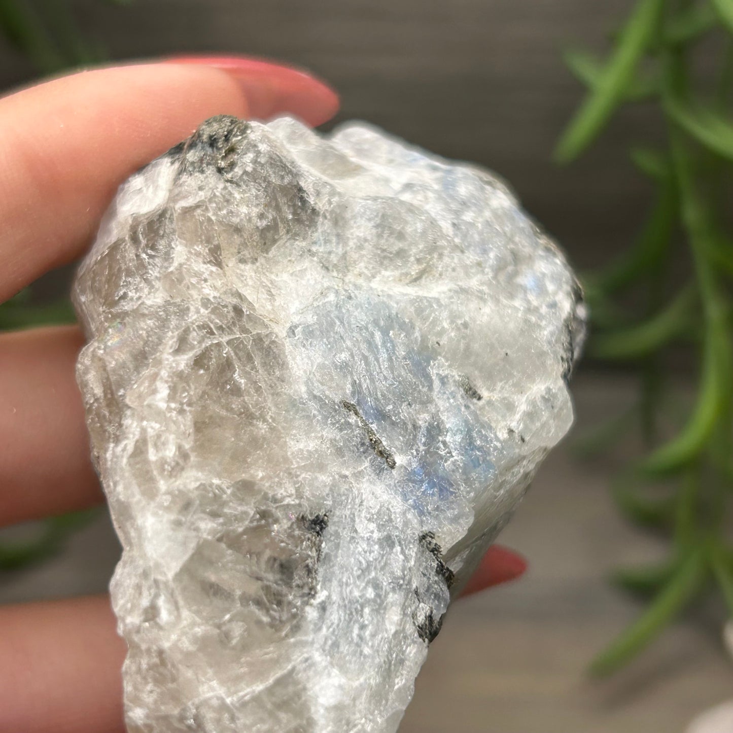 raw rainbow moonstone