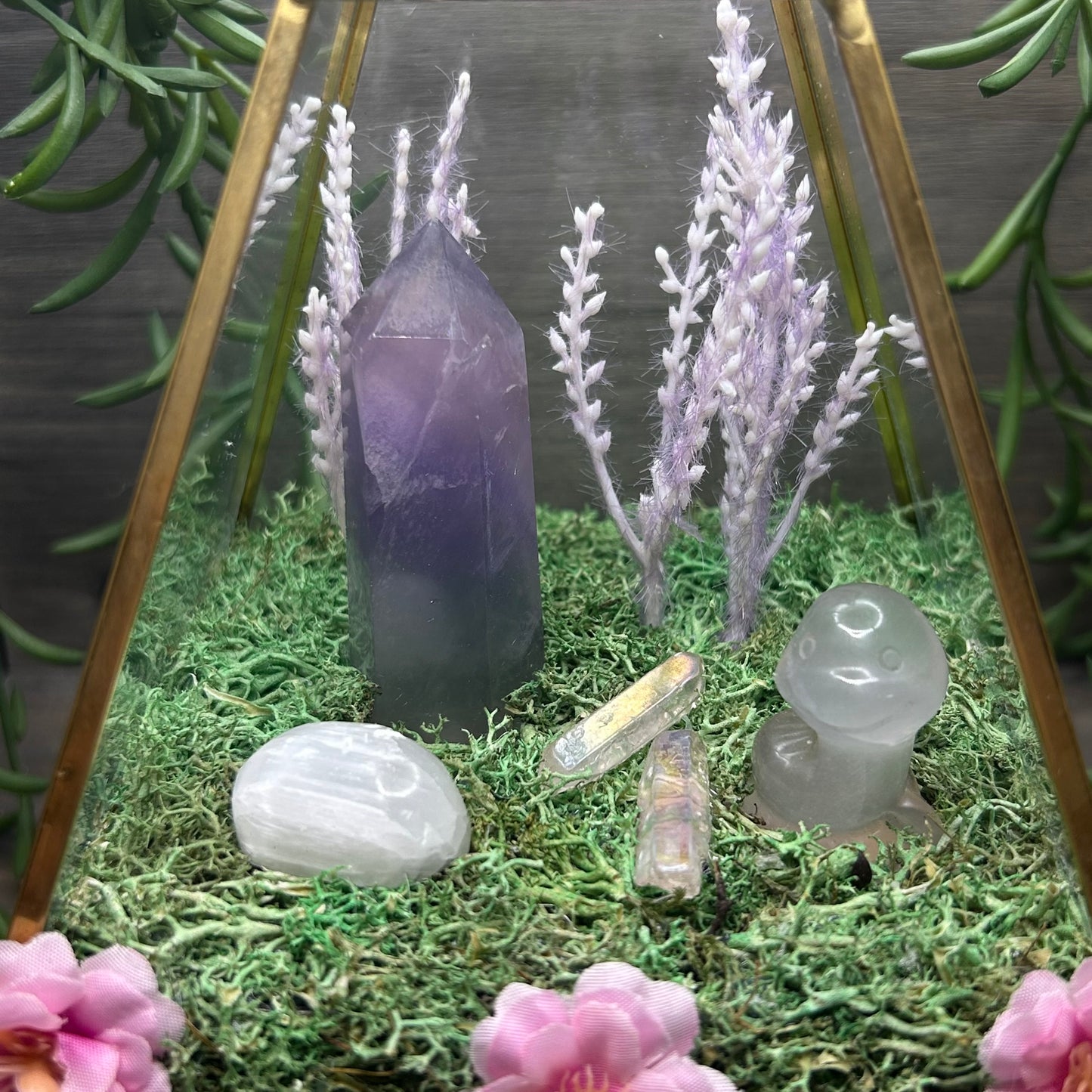 fluorite terrarium