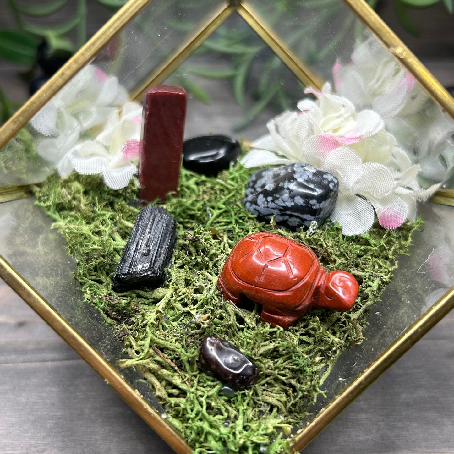 turtle cube terrarium