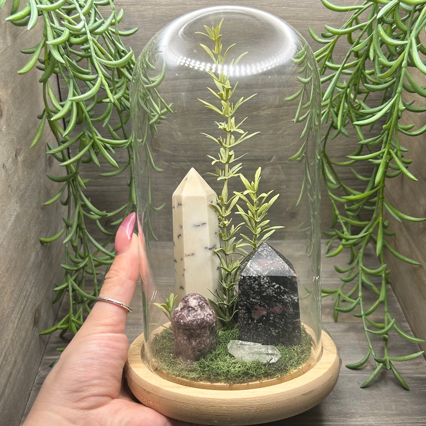 dendritic agate terrarium