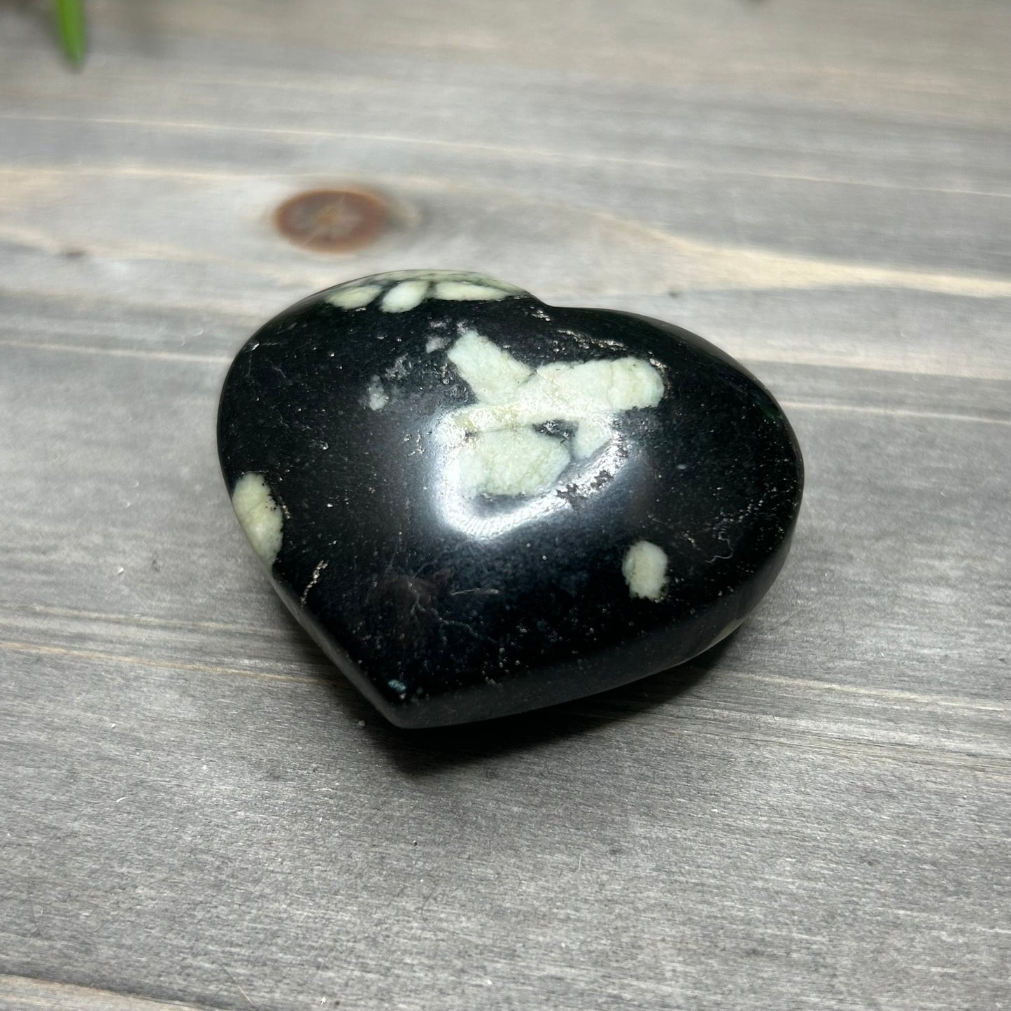 chrysanthemum heart