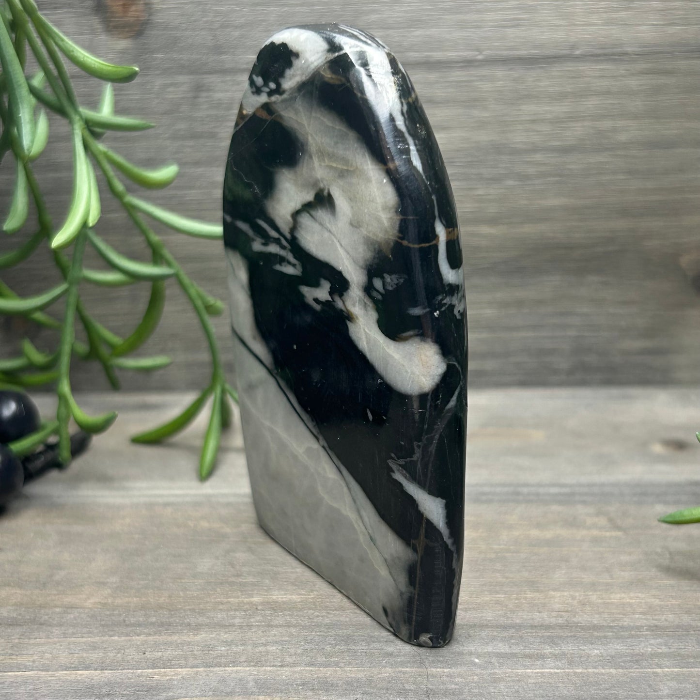 picasso jasper freeform