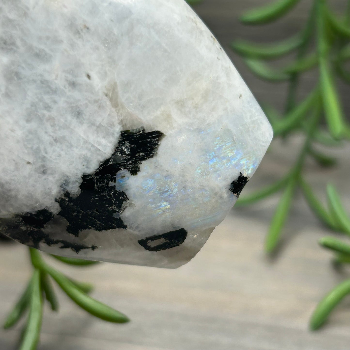 rainbow moonstone freeform