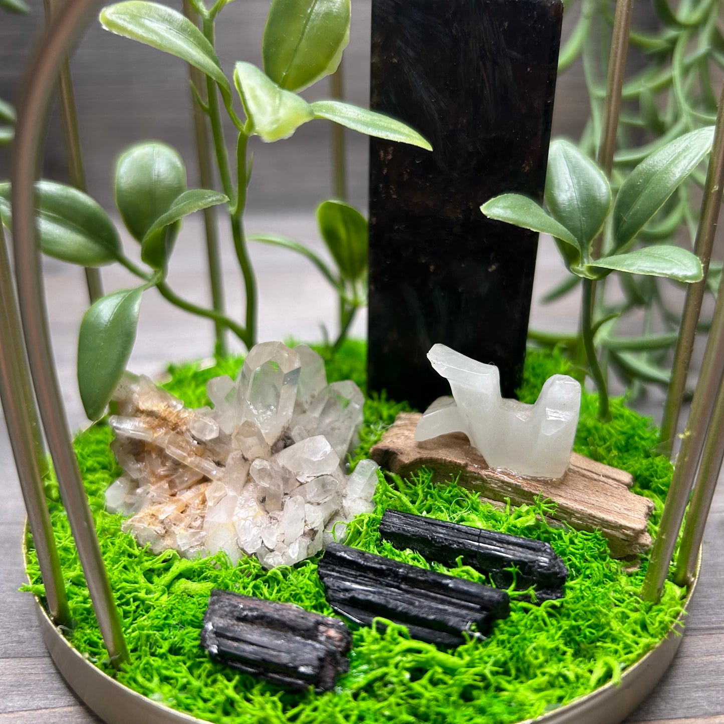 birdcage terrarium