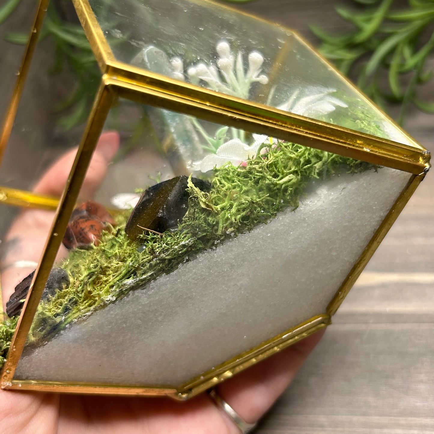 bird skull cube terrarium