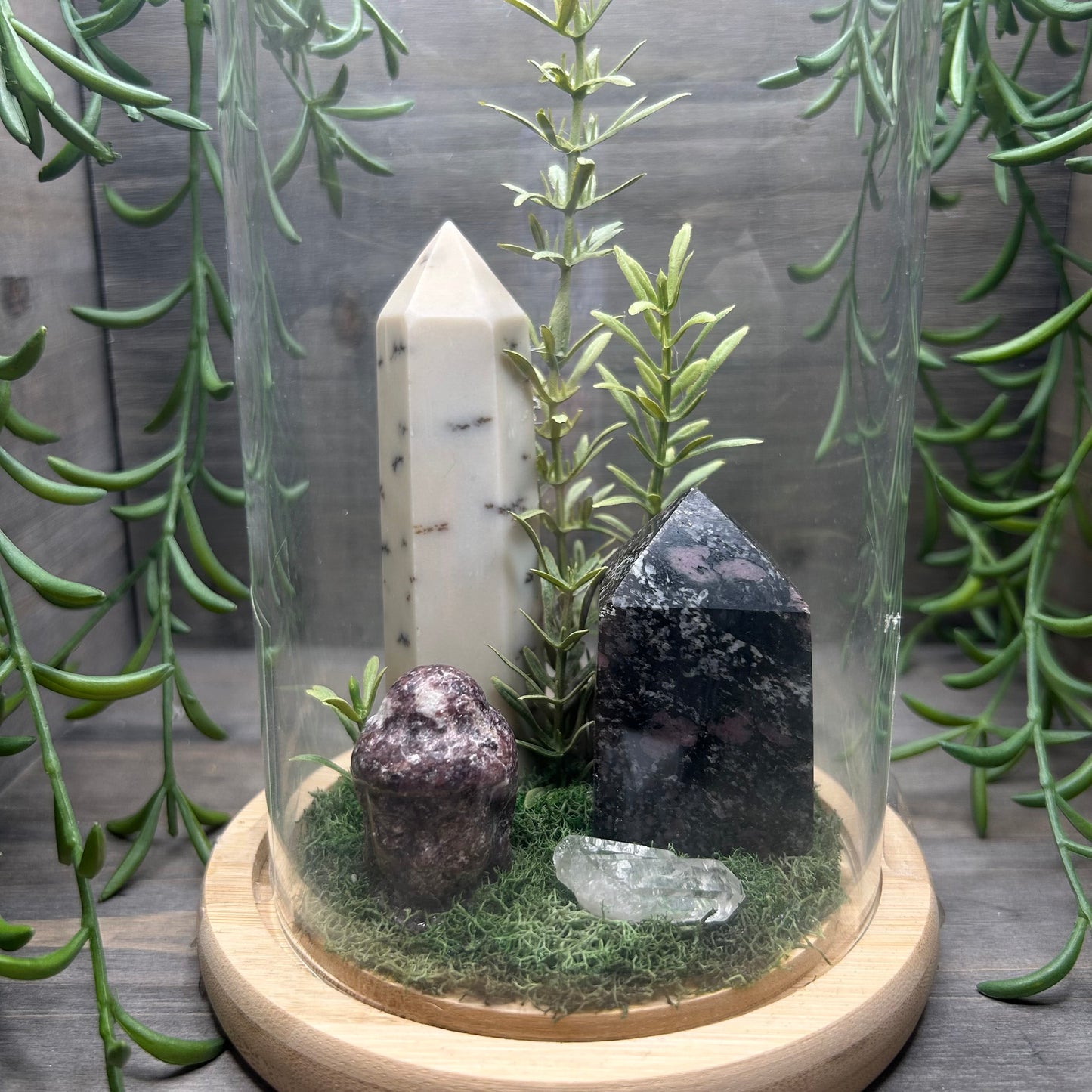 dendritic agate terrarium