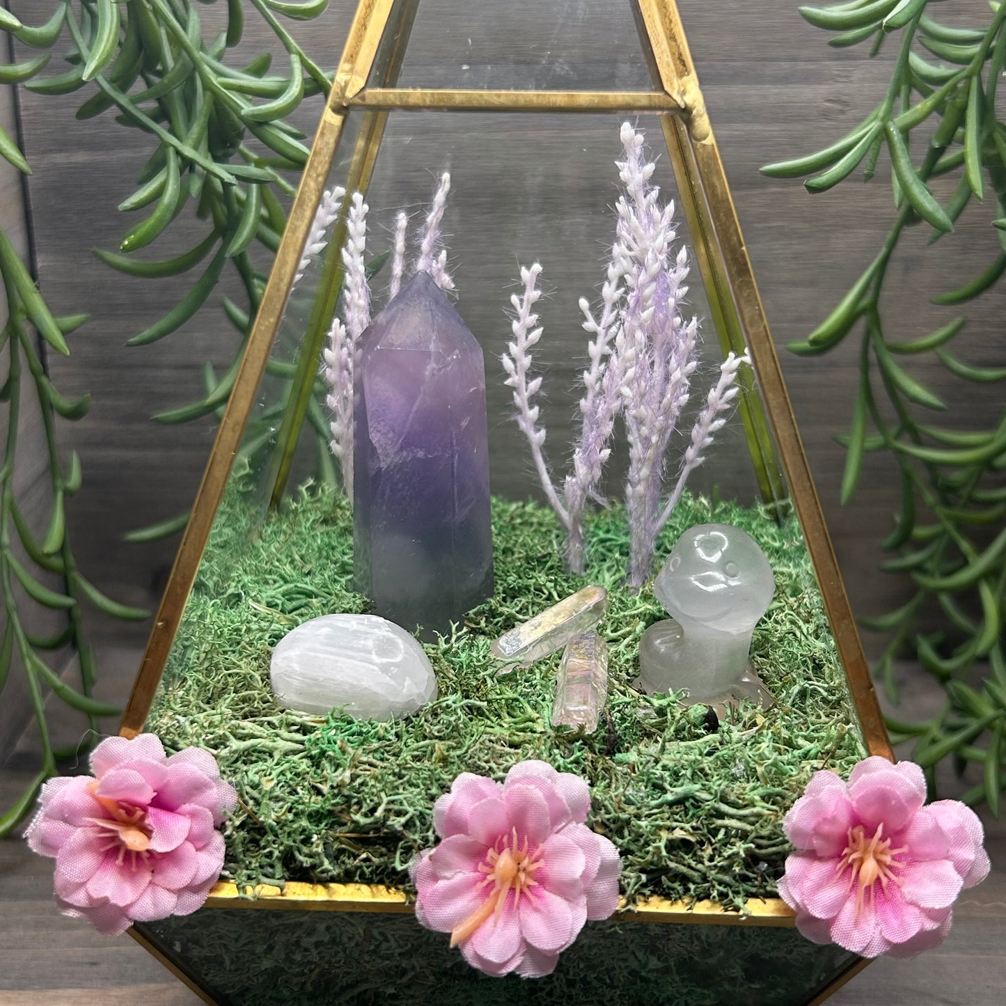 fluorite terrarium