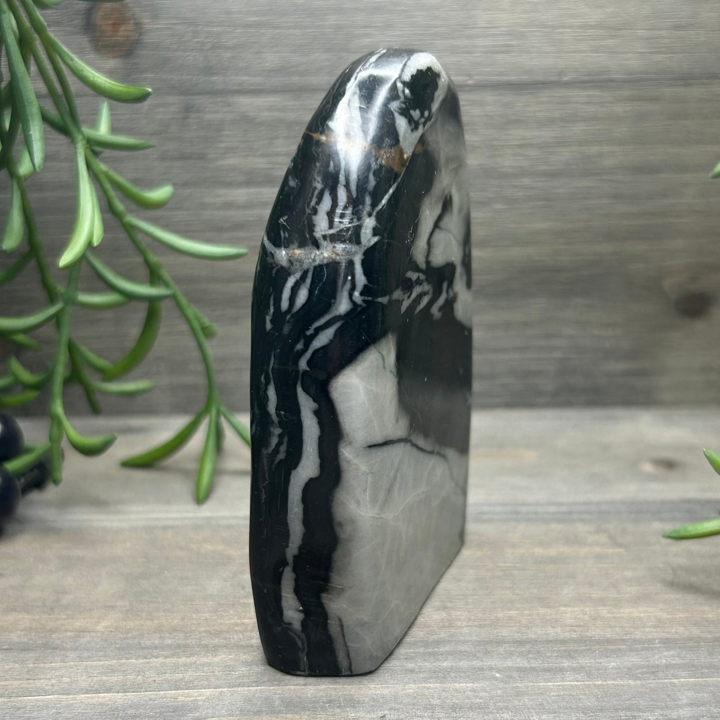 picasso jasper freeform