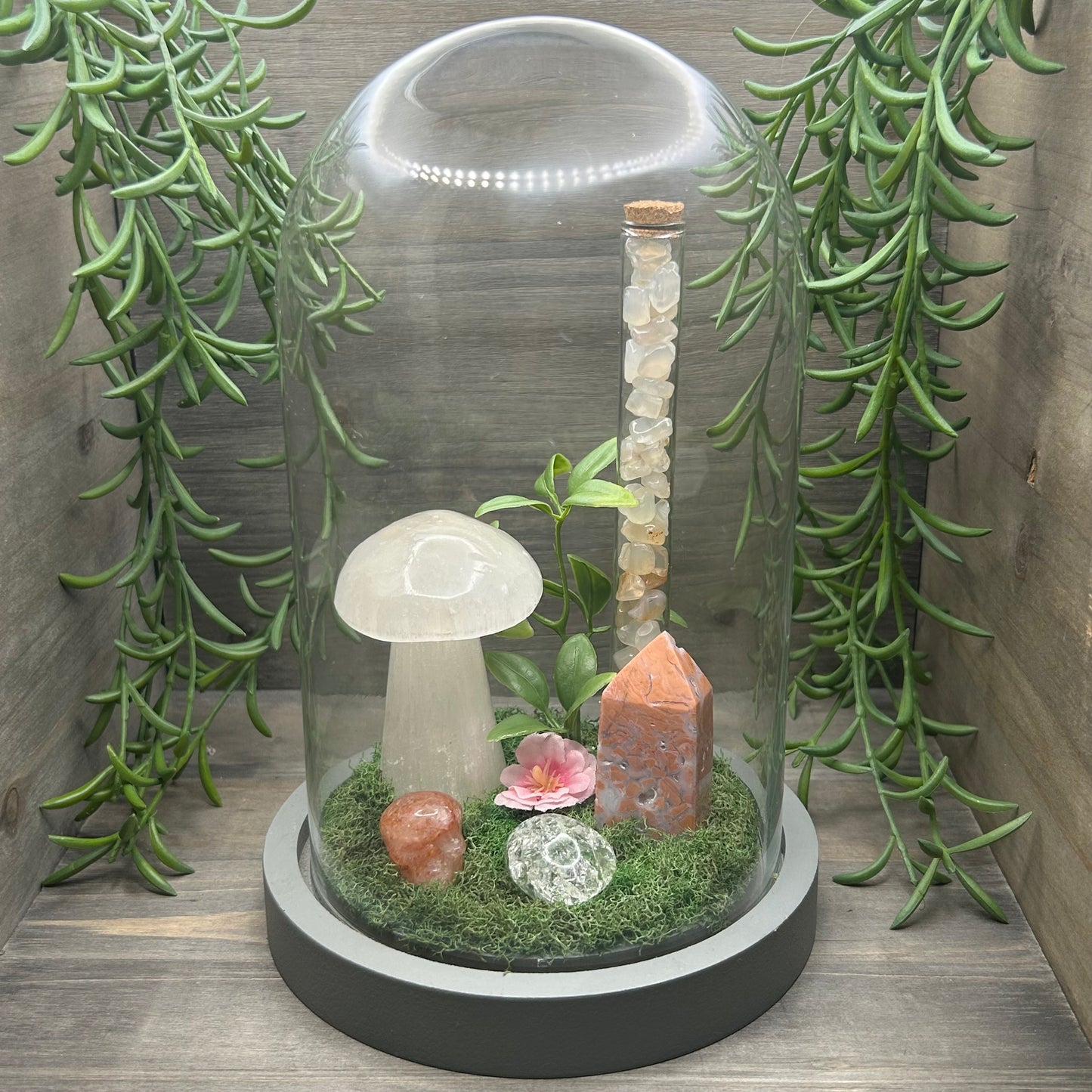 selenite mushroom terrarium