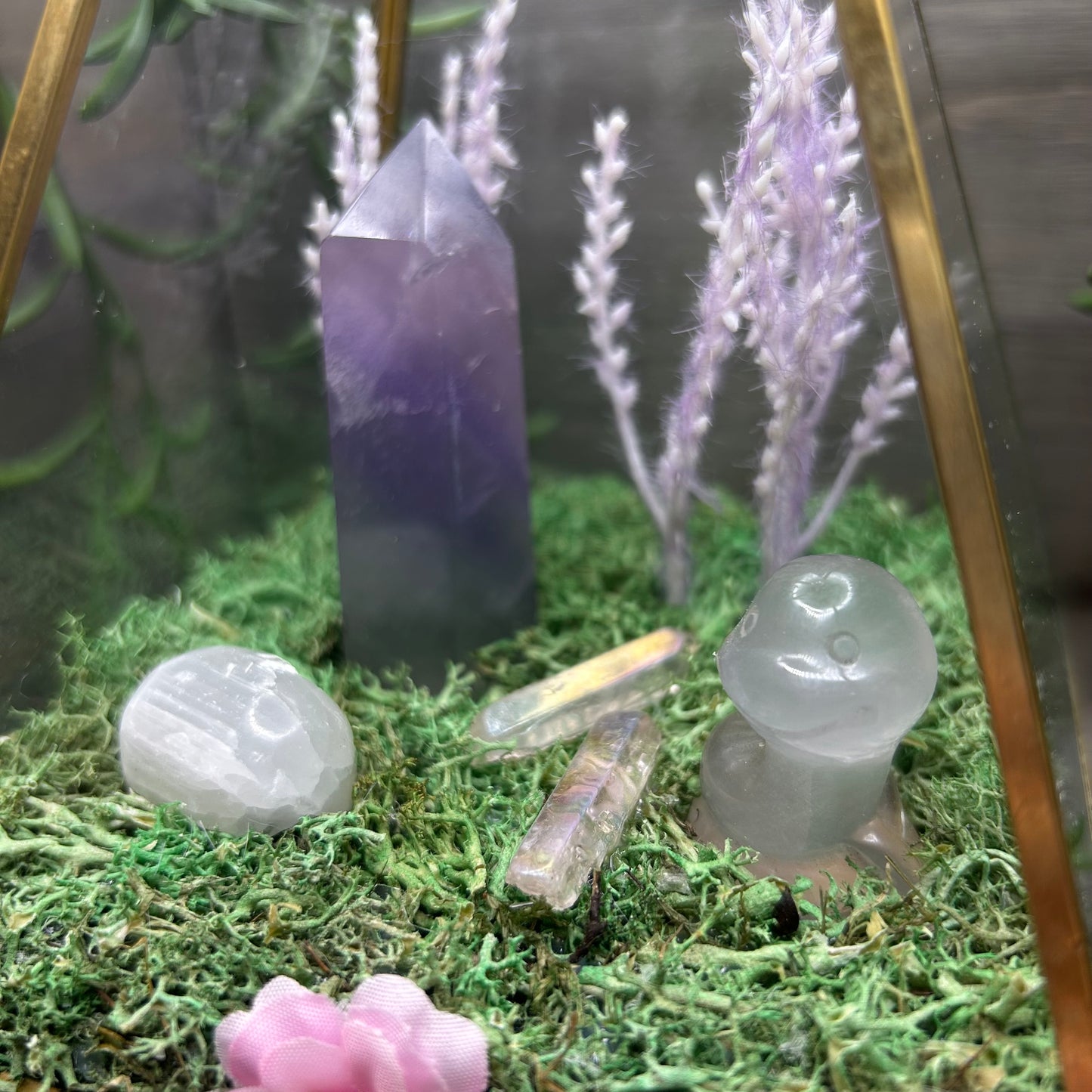 fluorite terrarium