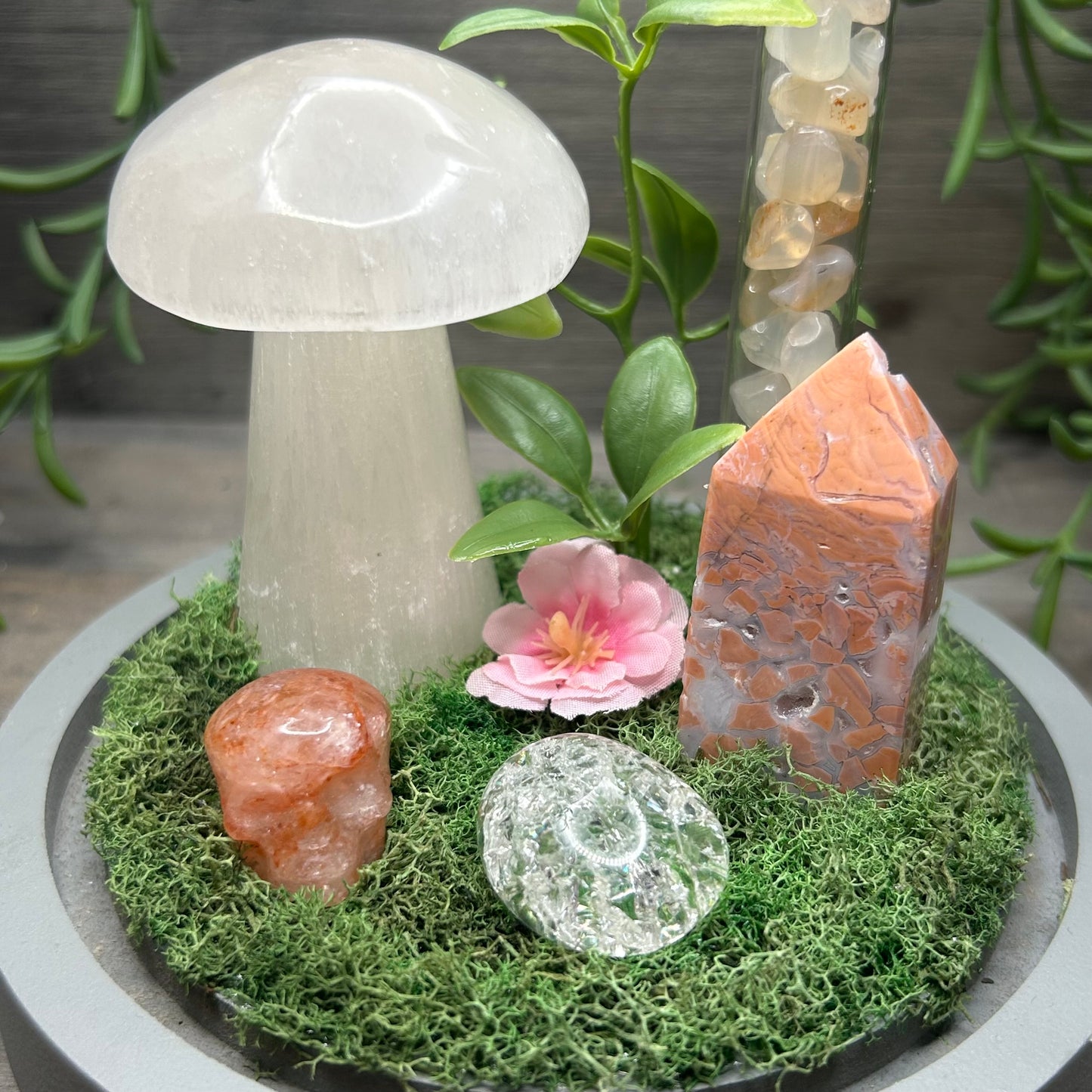 selenite mushroom terrarium