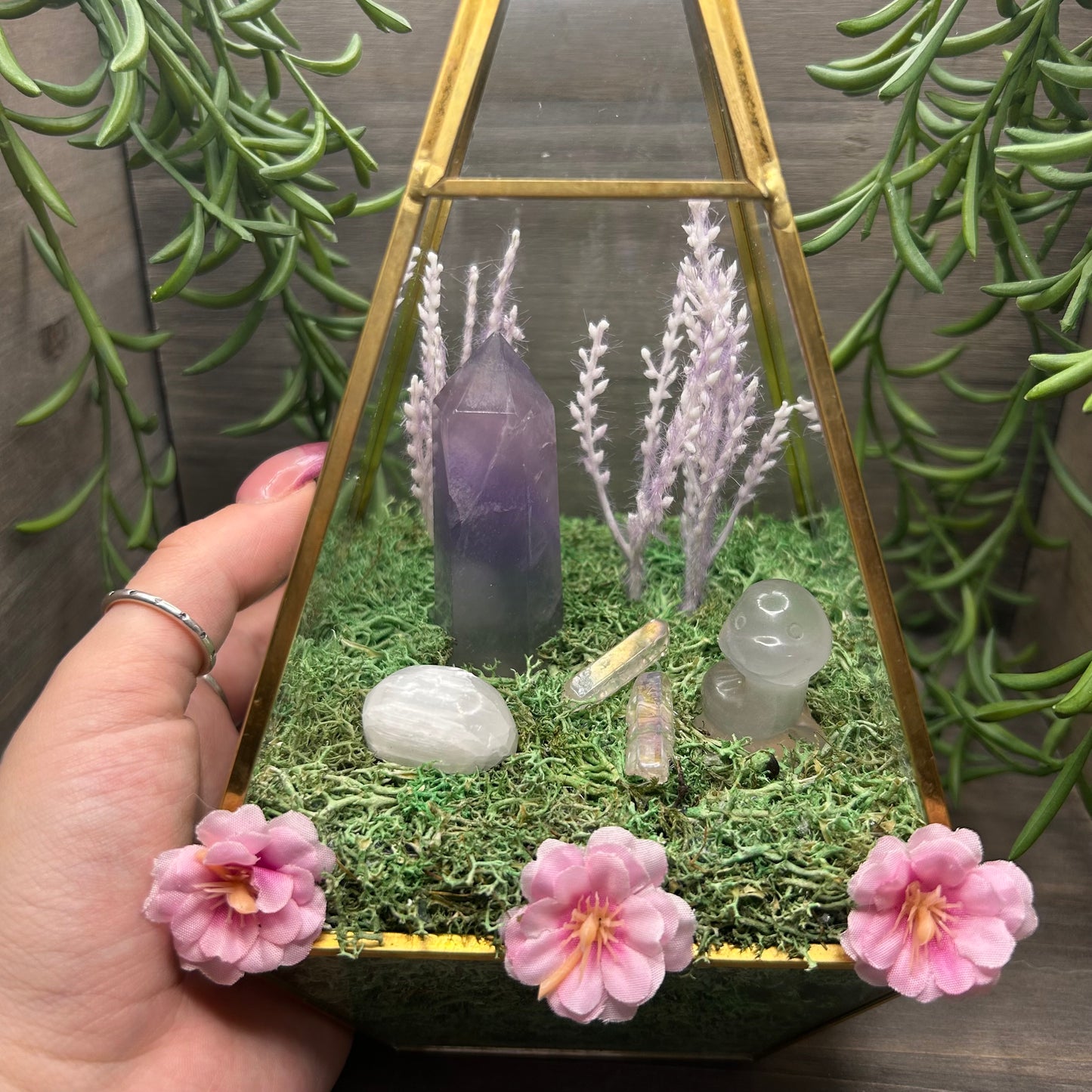 fluorite terrarium