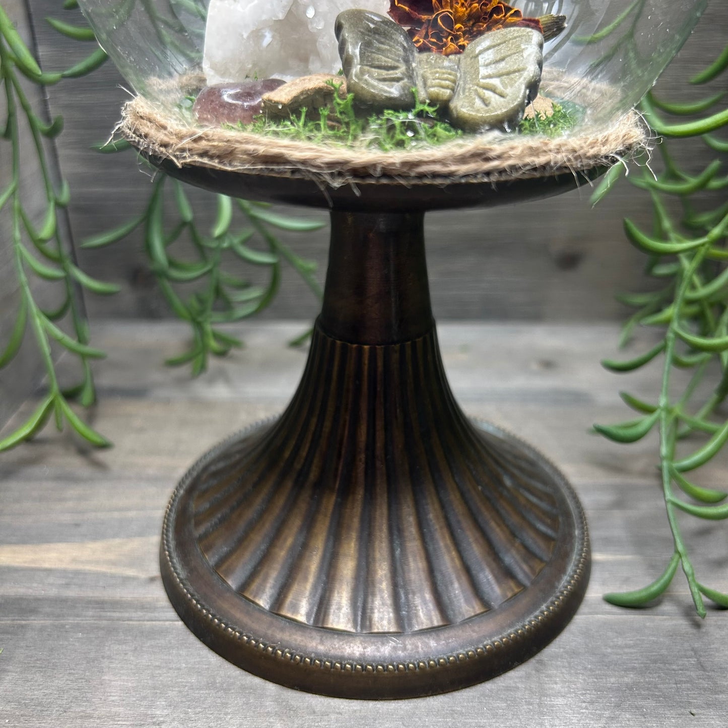druzy agate terrarium