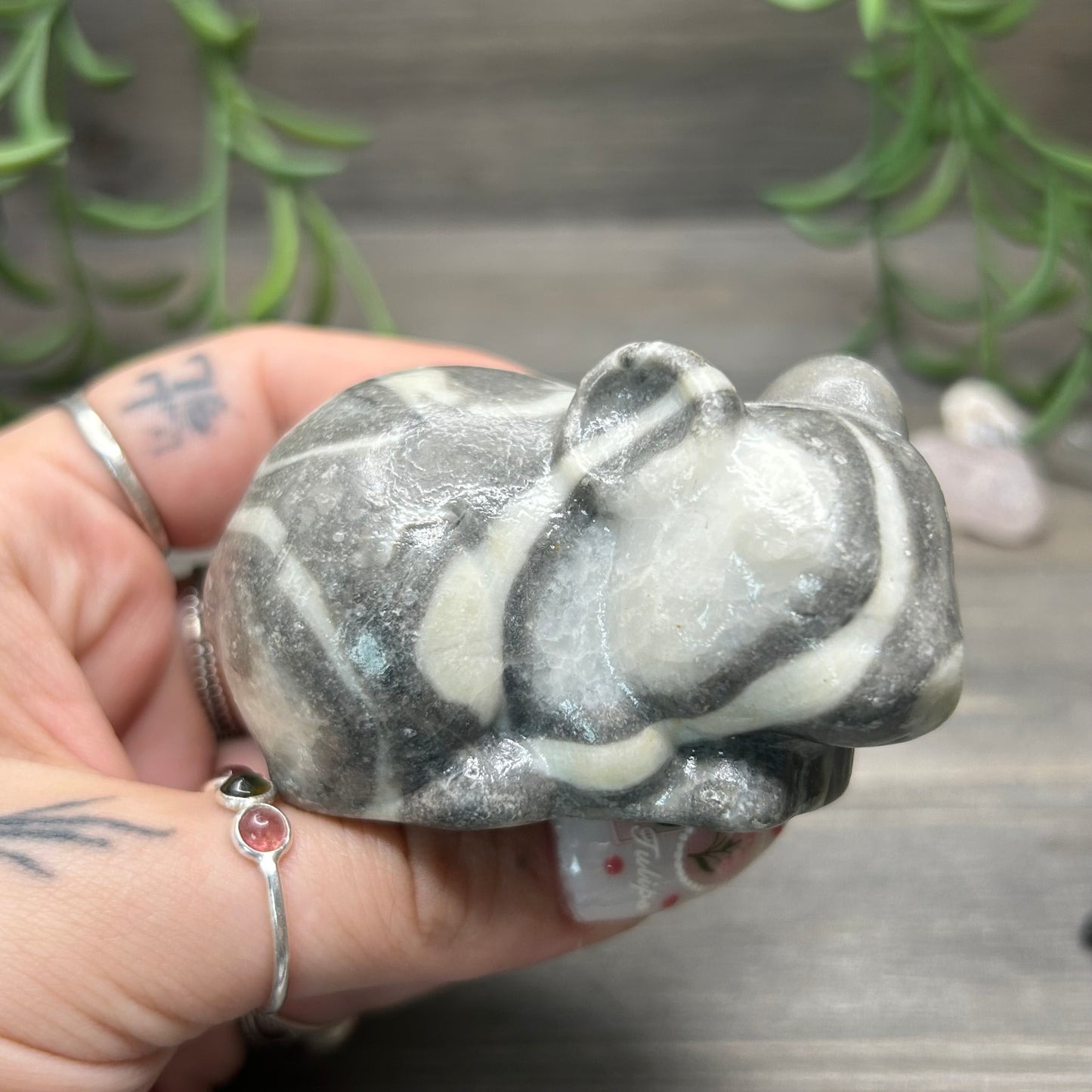 thousand eye jasper mouse
