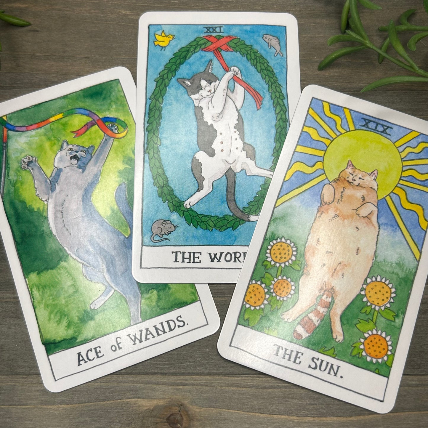 cat tarot deck