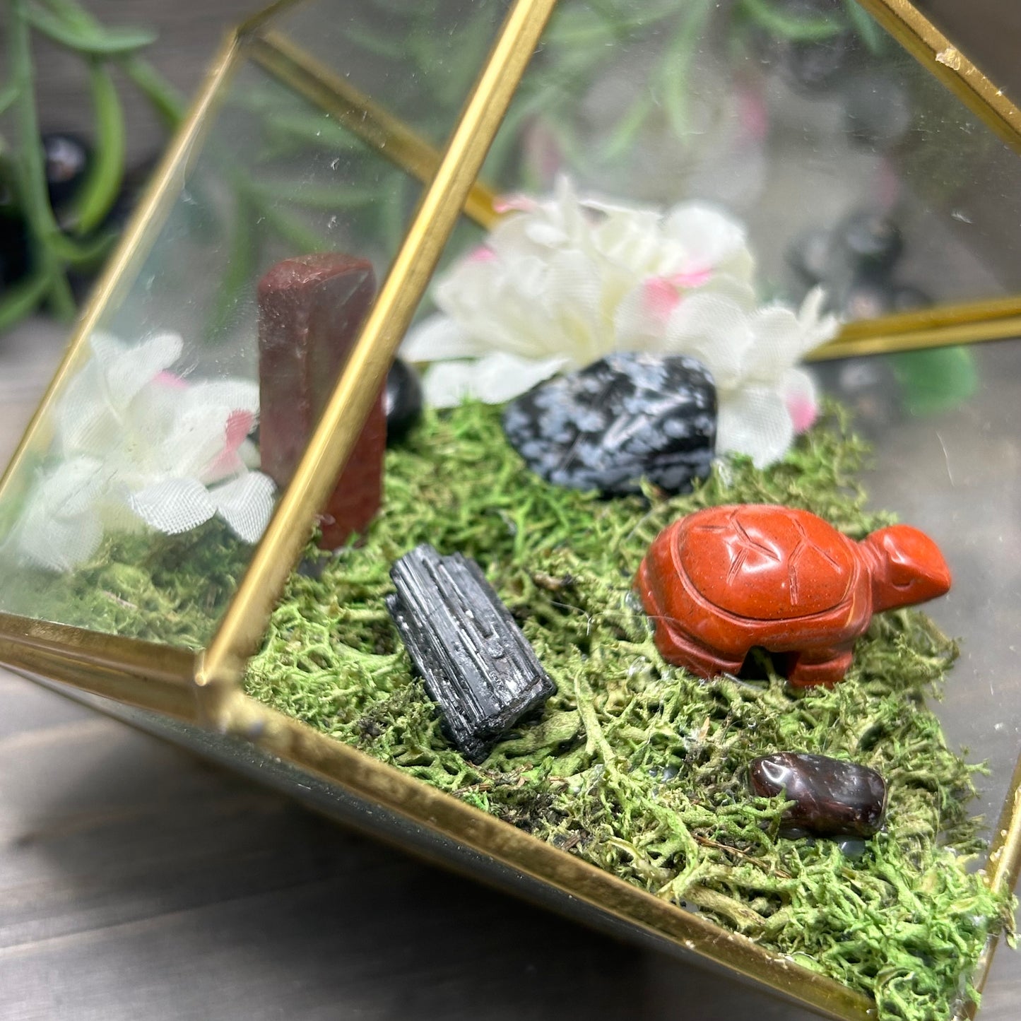 turtle cube terrarium