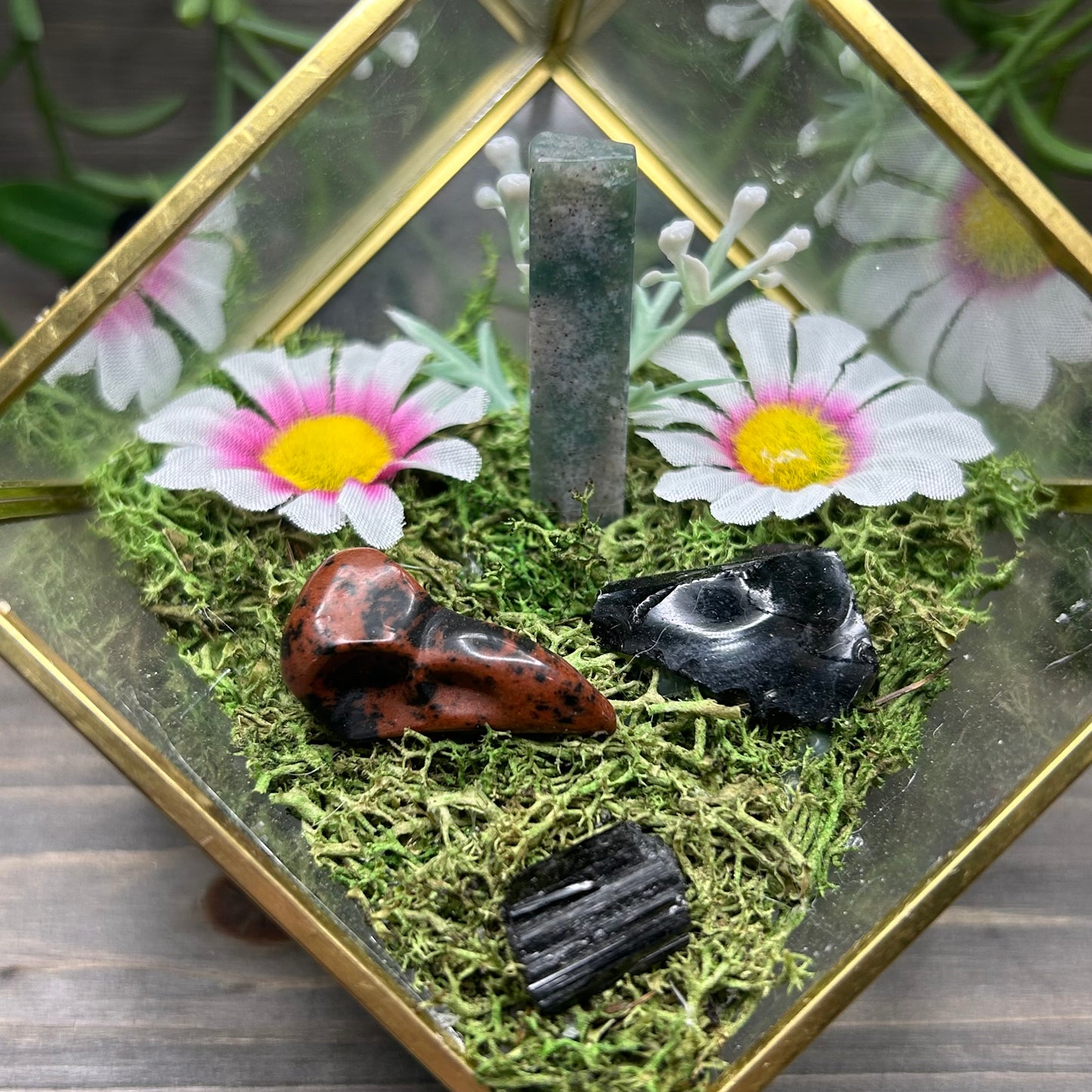bird skull cube terrarium