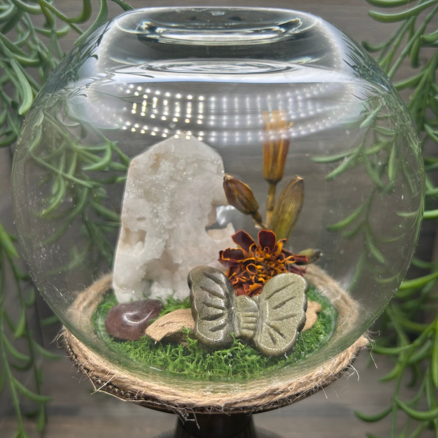 druzy agate terrarium
