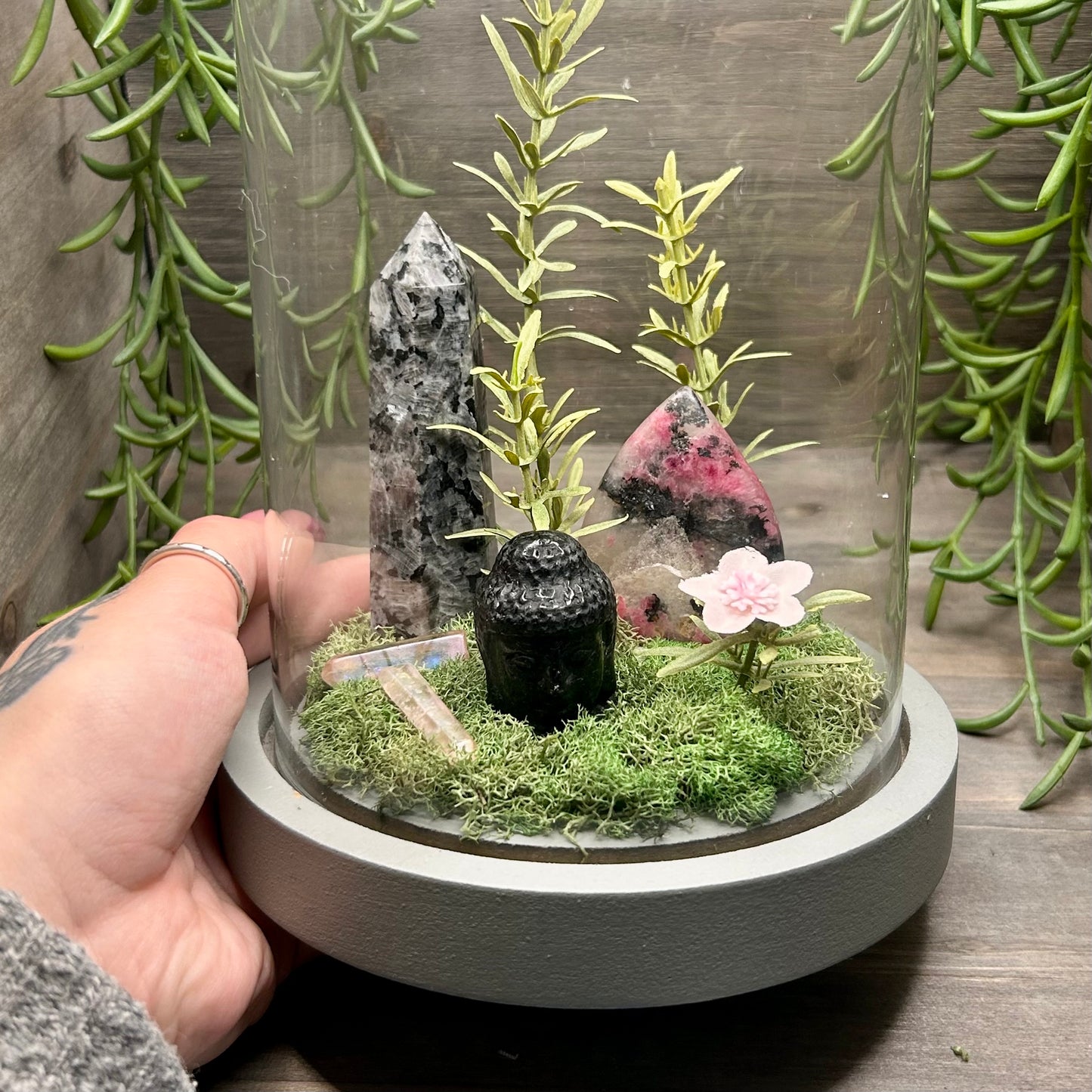 larvikite+rhodonite terrarium