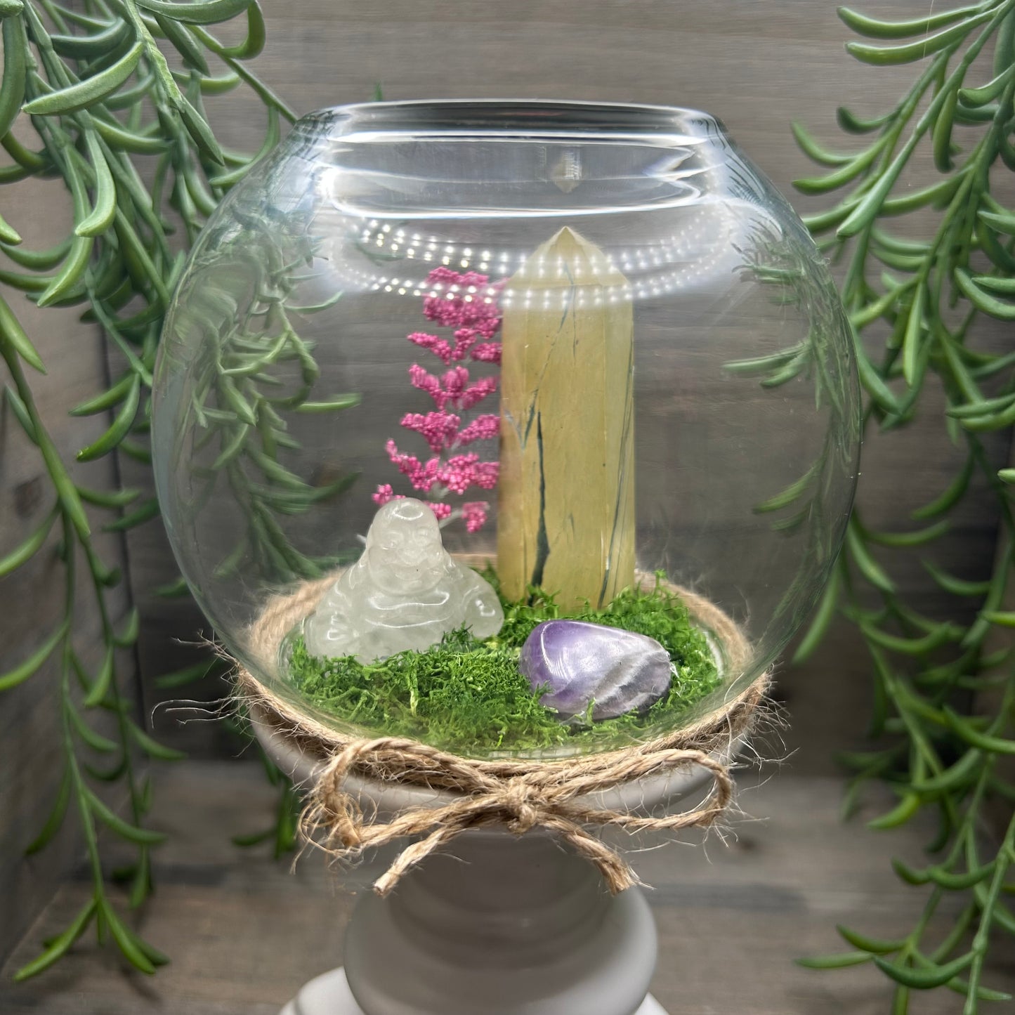 yellow fuchsite+buddha terrarium