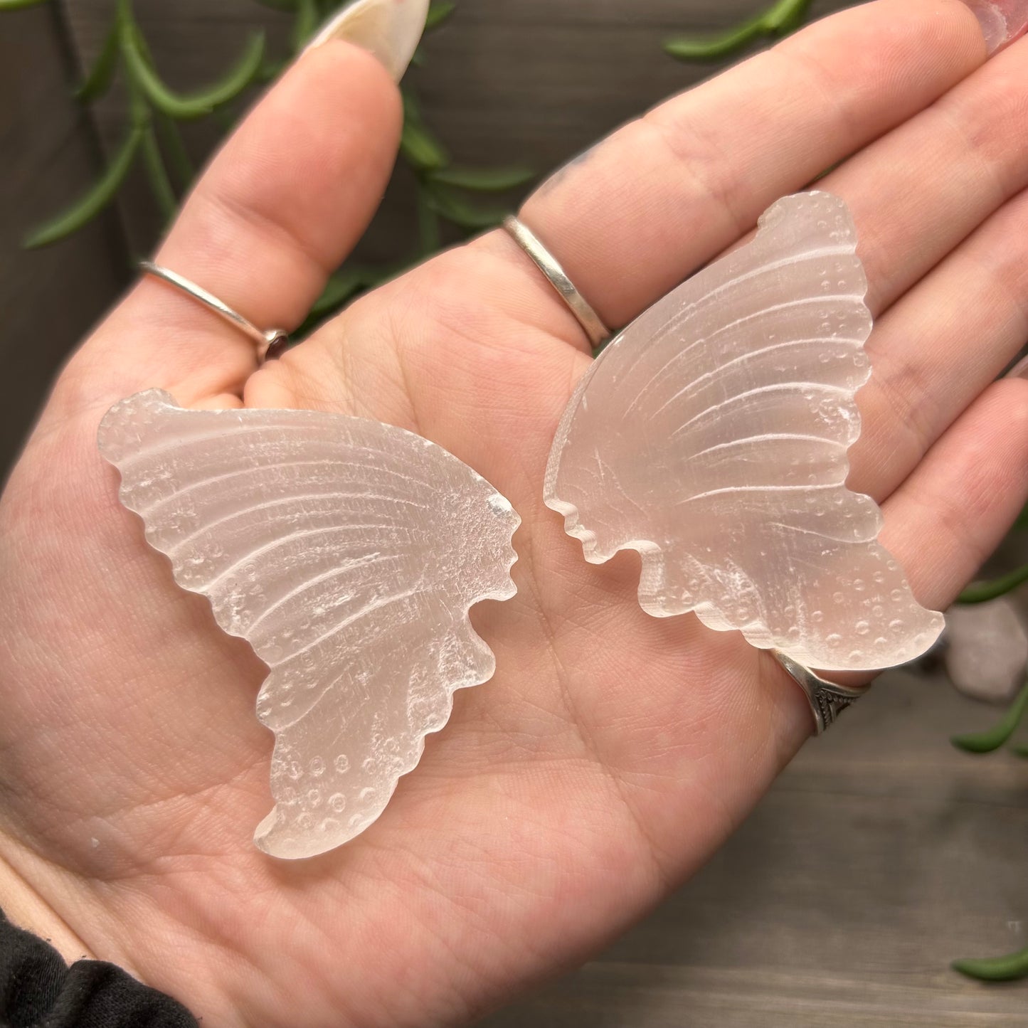selenite wings