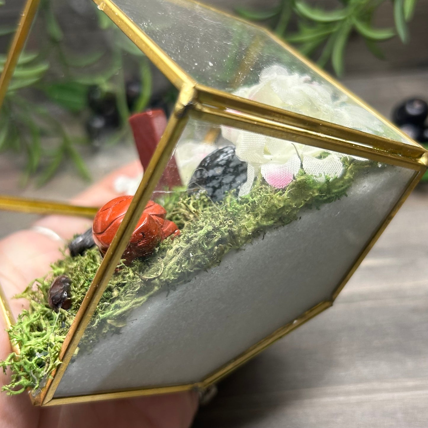 turtle cube terrarium