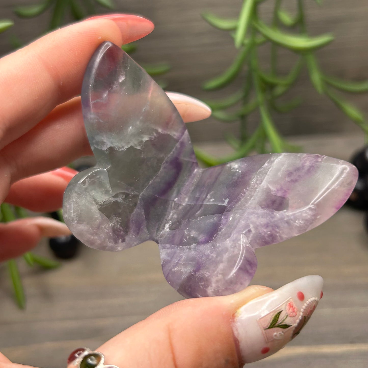 fluorite butterfly