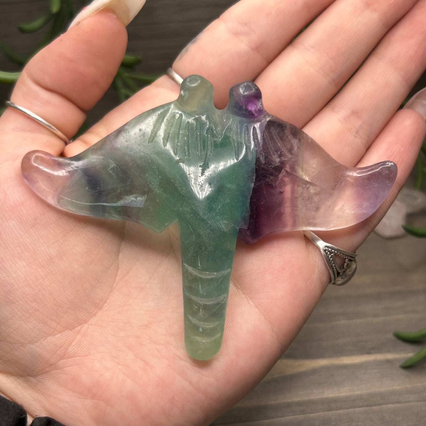 fluorite manta ray